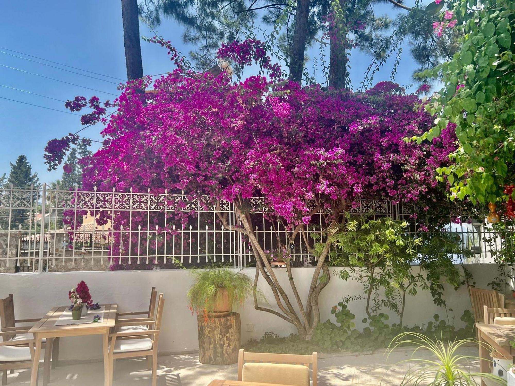 Carikci Hotel Marmaris Esterno foto